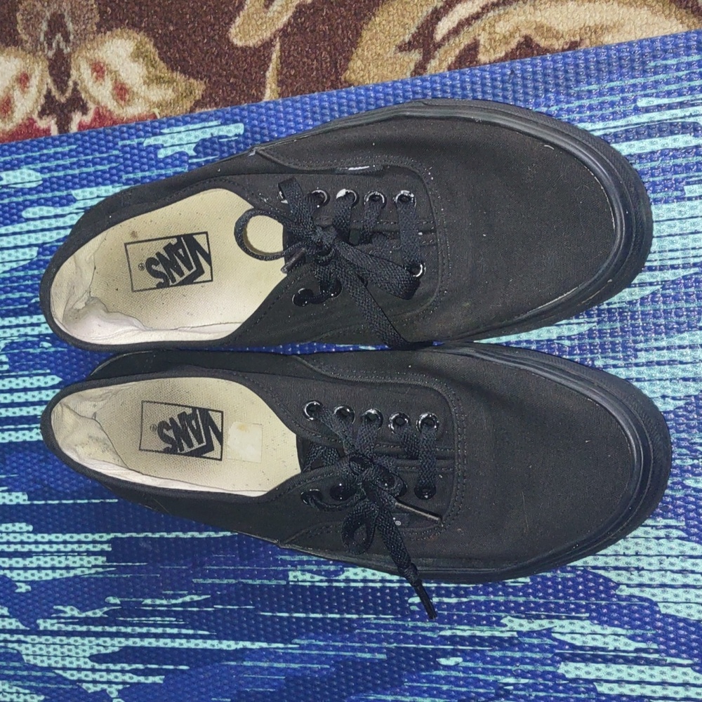 Vans Mens Black skater Shoes